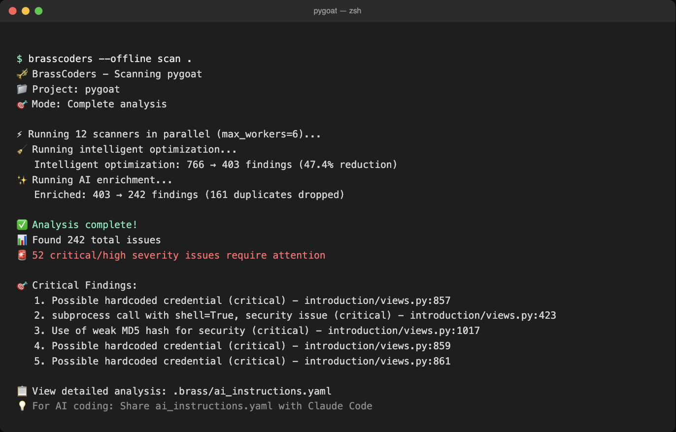 What BrassCoders Catches in OWASP PyGoat